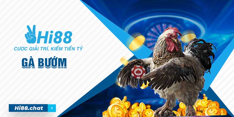 Gà Bướm Là Gì? Dòng Chiến Kê Này Có Mệnh Gì? 6 gà bướm